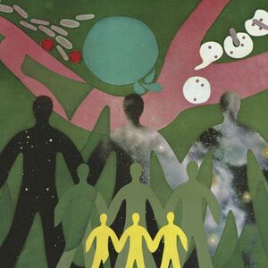 Daniel O'Sullivan - The Physic Garden  LP LP